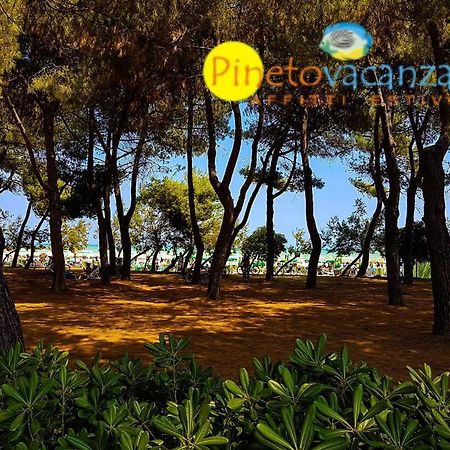 Myconos C2 - Pineto Vacanza Dış mekan fotoğraf