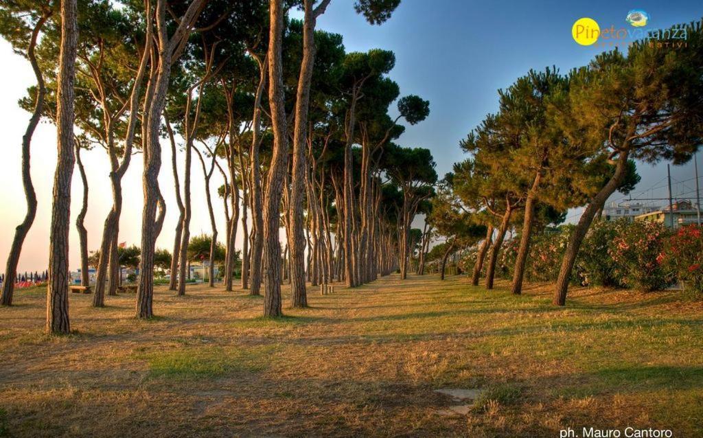 Myconos C2 - Pineto Vacanza Dış mekan fotoğraf