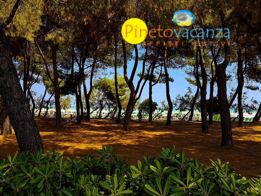 Myconos C2 - Pineto Vacanza Dış mekan fotoğraf